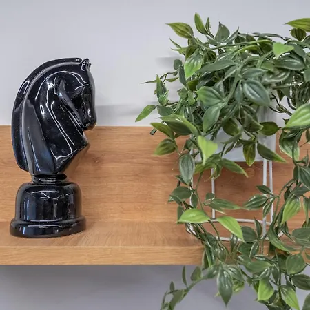 Cozy Homes 4 公寓 索菲亞