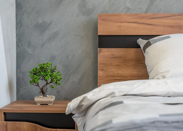 Cozy Homes 4 アパート ソフィア