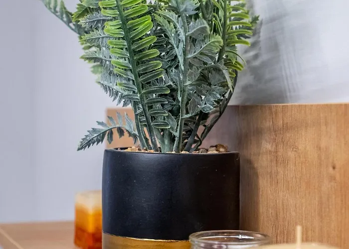 Cozy Homes 4 アパート ソフィア